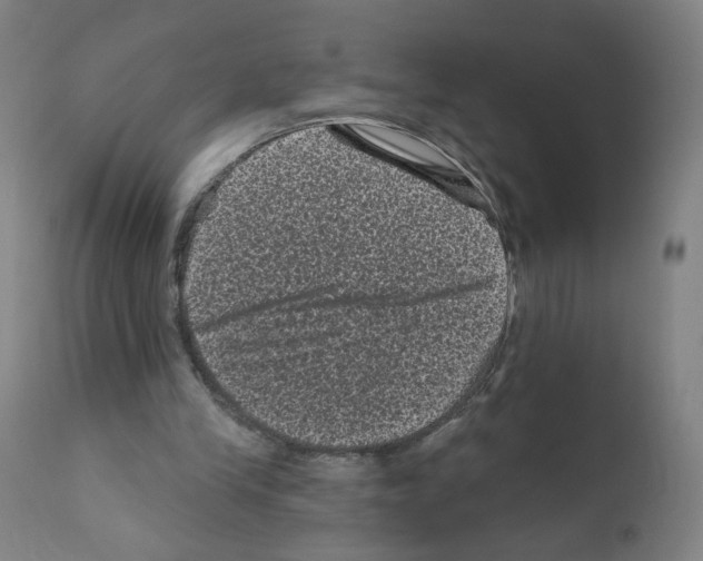 X0000110940245200907311023