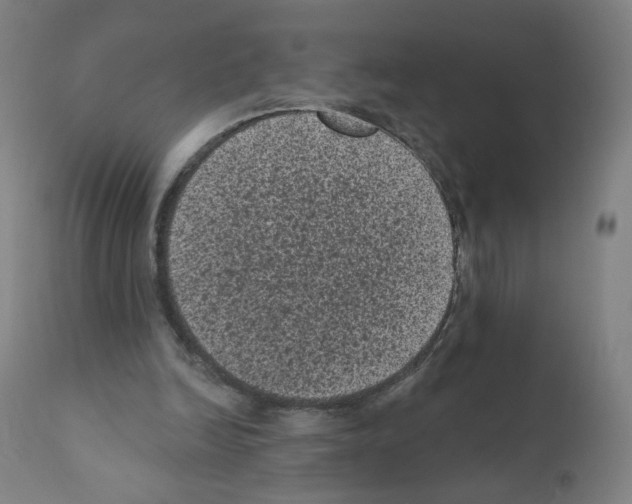 X0000110940246200907311023