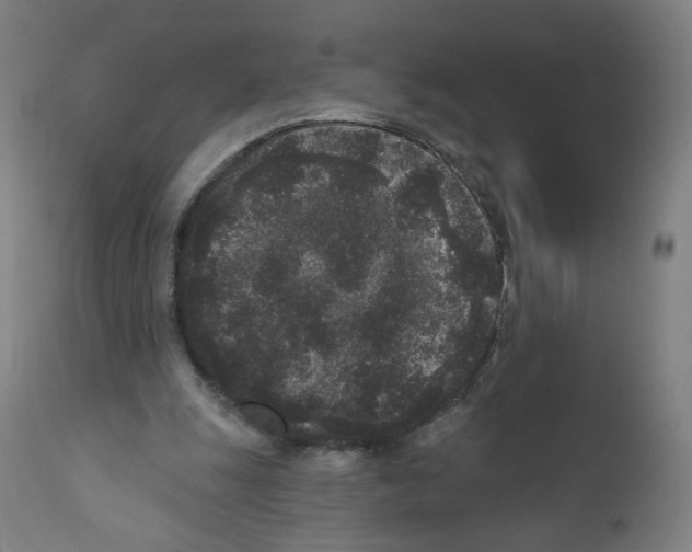 X0000110940247200907311023