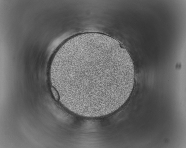 X0000110940248200907311023