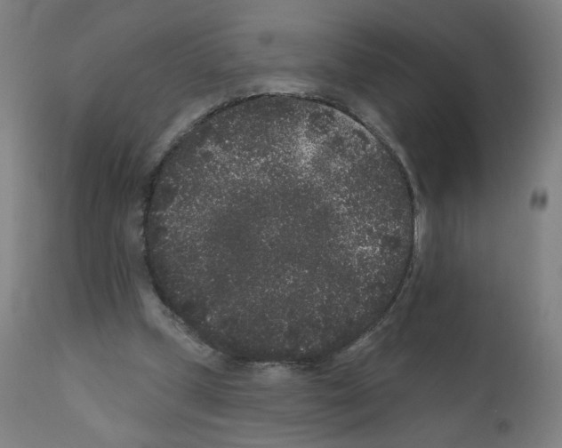 X0000110940249200907311023