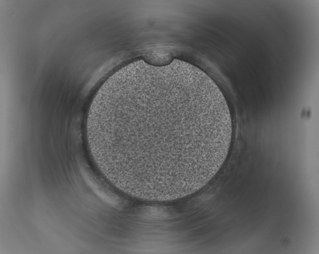 X0000110940250200907311023
