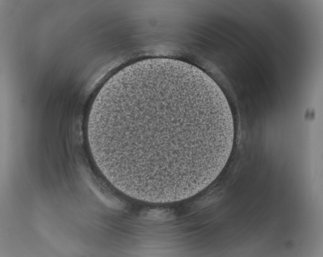 X0000110940251200907311023