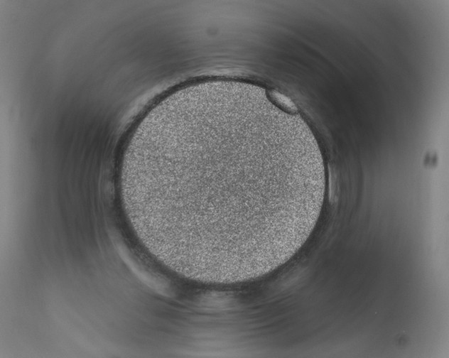 X0000110940252200907311023