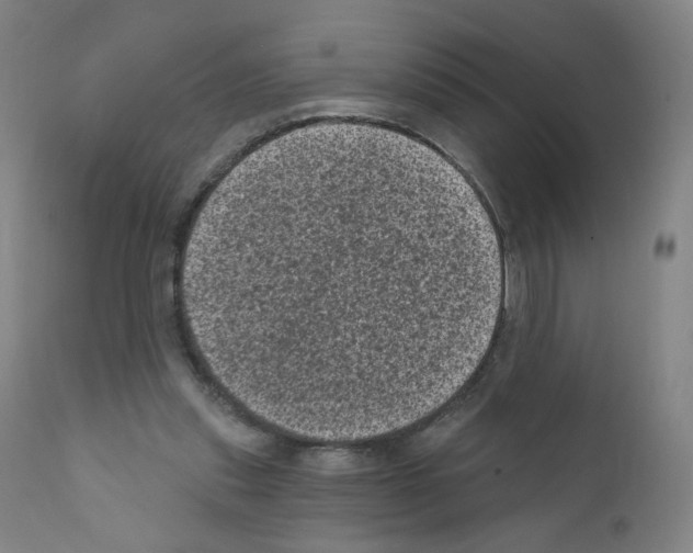 X0000110940253200907311023