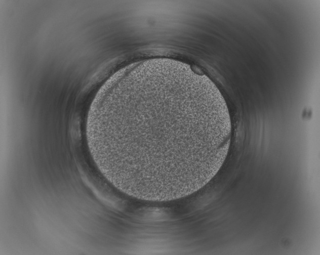 X0000110940254200907311023