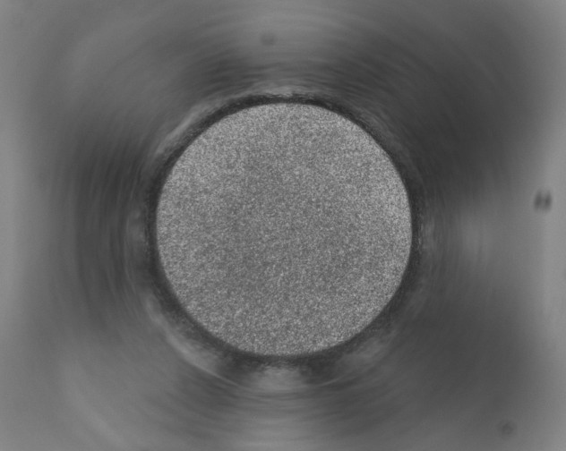 X0000110940256200907311023