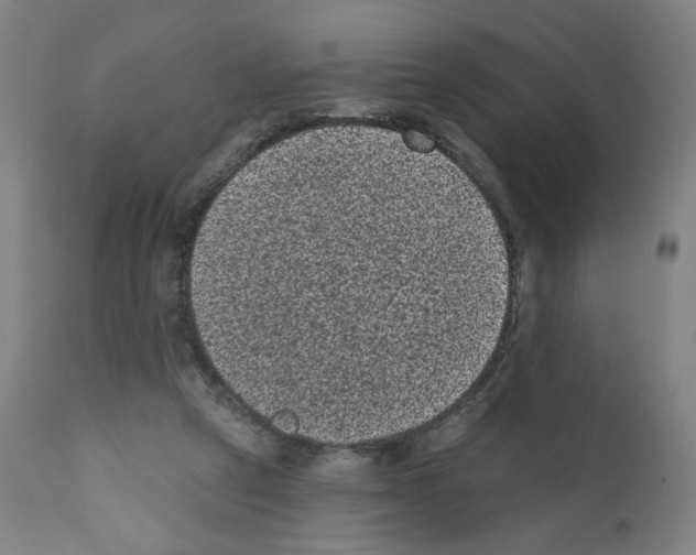 X0000110940257200907311023