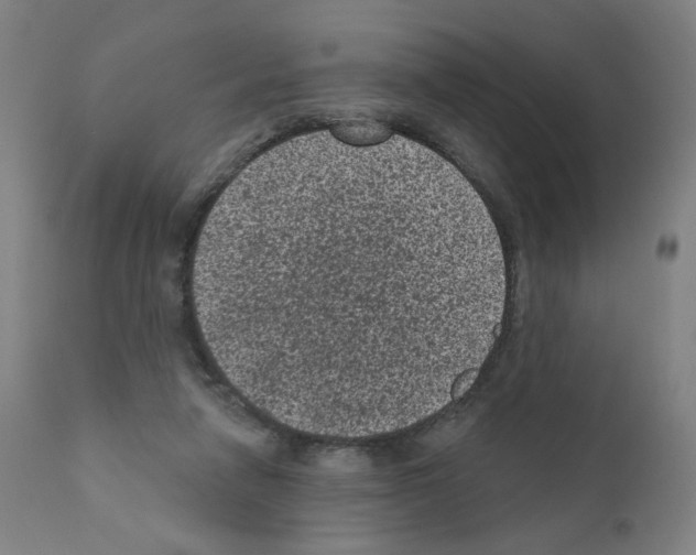 X0000110940258200907311023