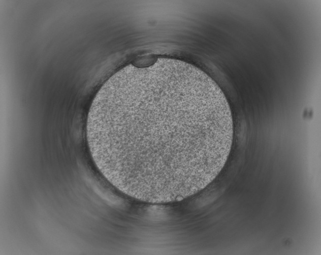 X0000110940261200907311024