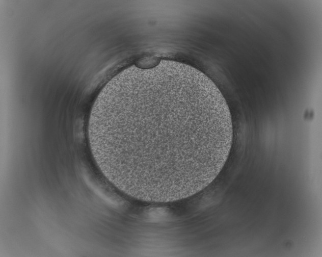 X0000110940262200907311024