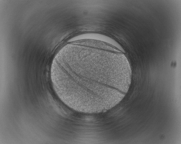 X0000110940264200907311024