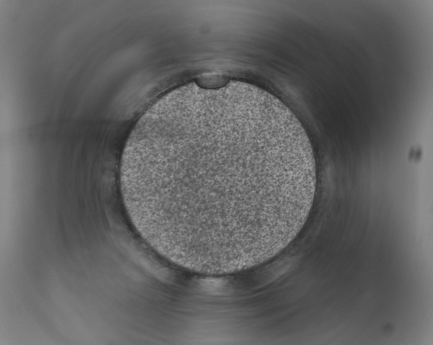 X0000110940265200907311024