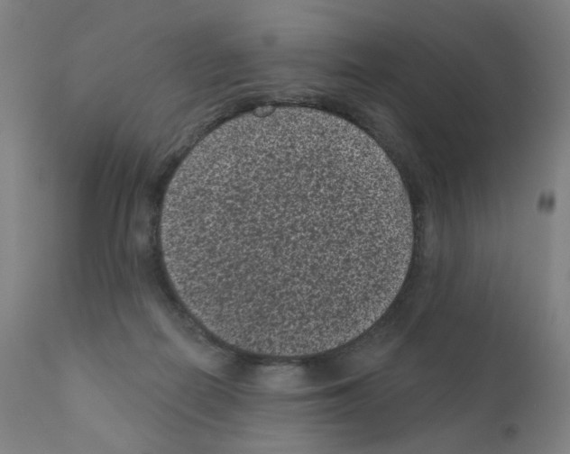 X0000110940266200907311024