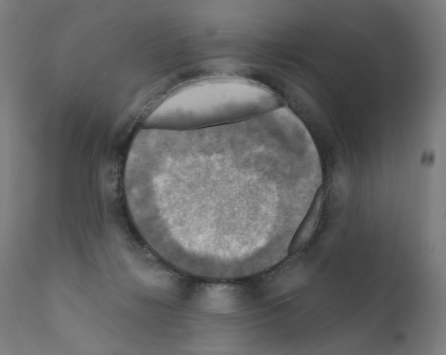 X0000110940268200907311024