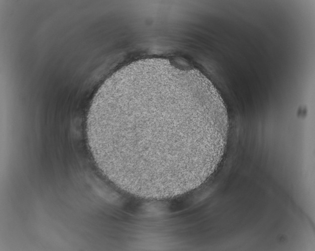 X0000110940269200907311024