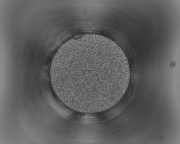 X0000110940270200907311024