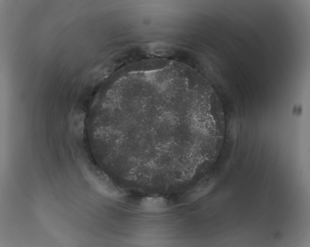 X0000110940271200907311024