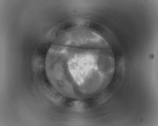 X0000110940272200907311024