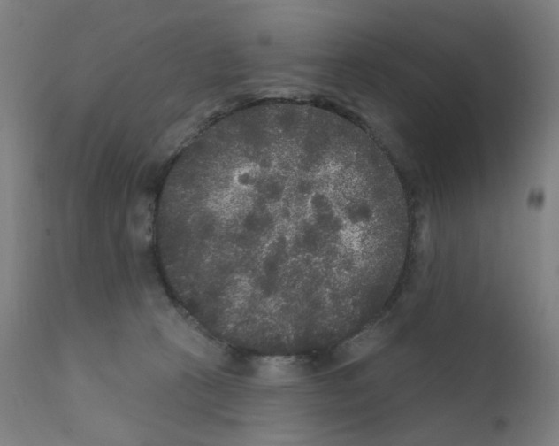 X0000110940273200907311024
