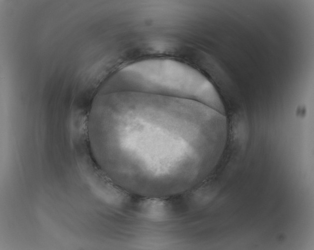 X0000110940276200907311024