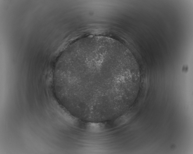 X0000110940277200907311024