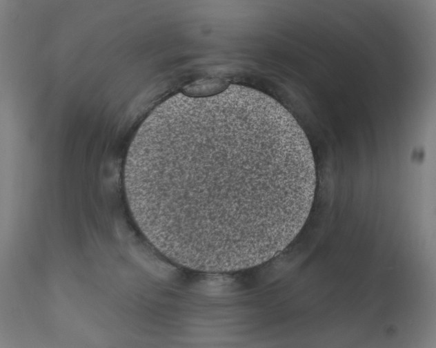 X0000110940278200907311024