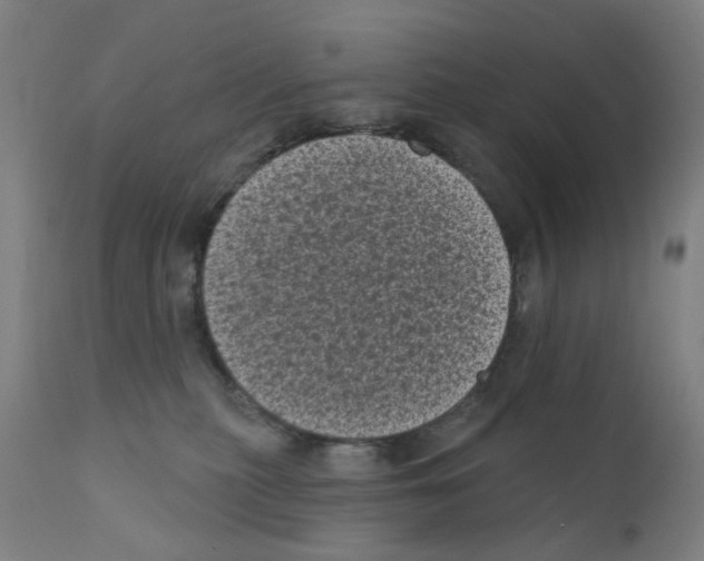X0000110940279200907311024