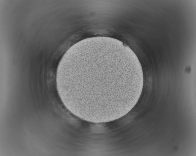X0000110940281200907311024