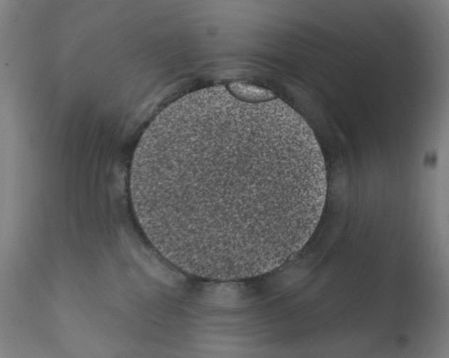 X0000110940282200907311024