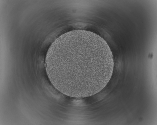 X0000110940283200907311024