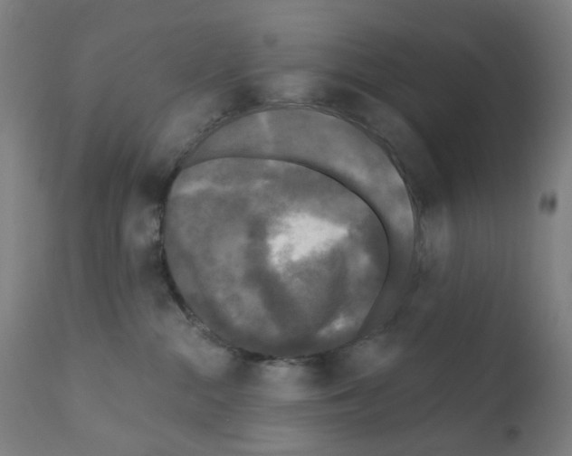 X0000110940284200907311024