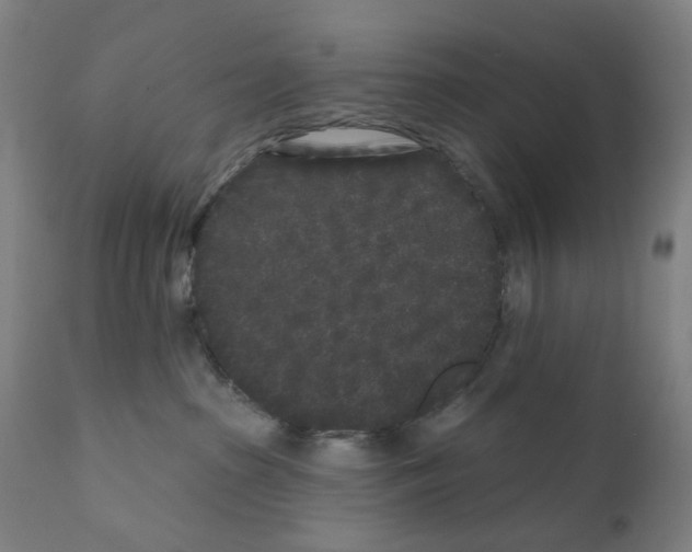 X0000110940285200907311024