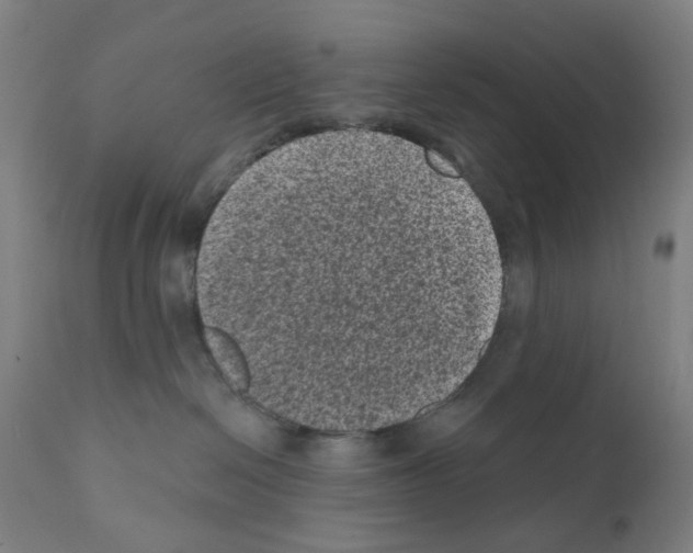 X0000110940286200907311024