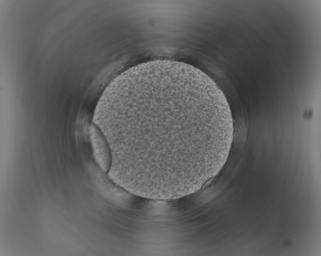 X0000110940287200907311024