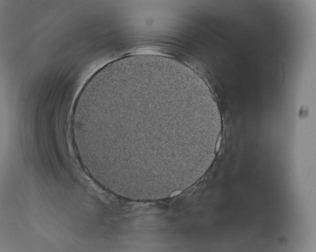 X0000110940289200907311023