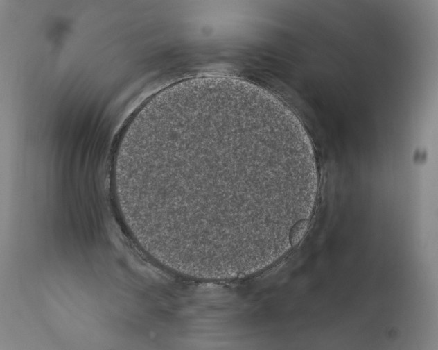 X0000110940290200907311023