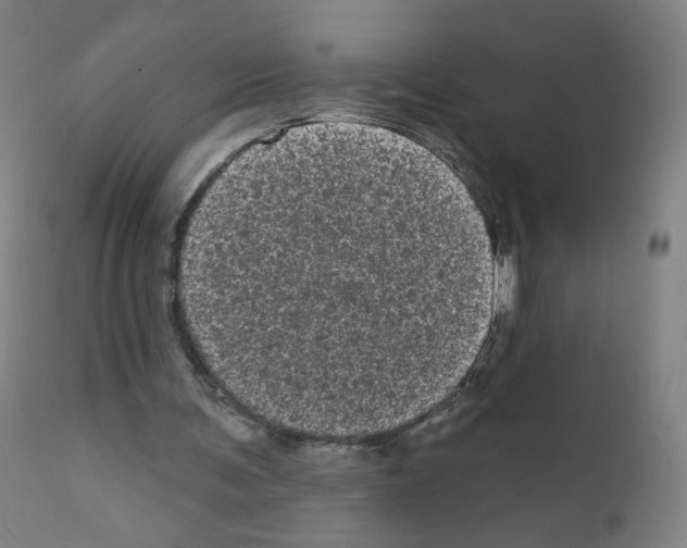 X0000110940291200907311023