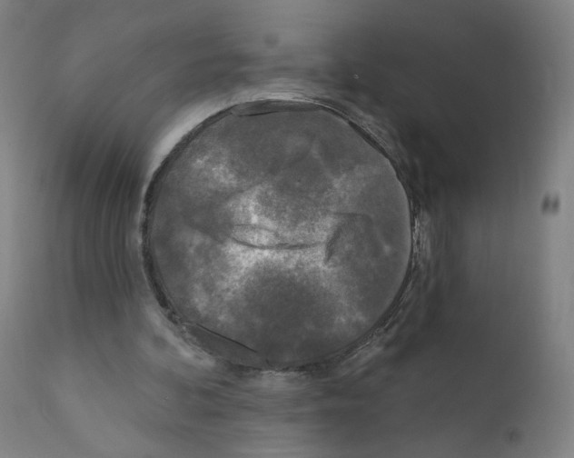 X0000110940292200907311023
