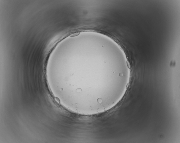 X0000110940293200907311023