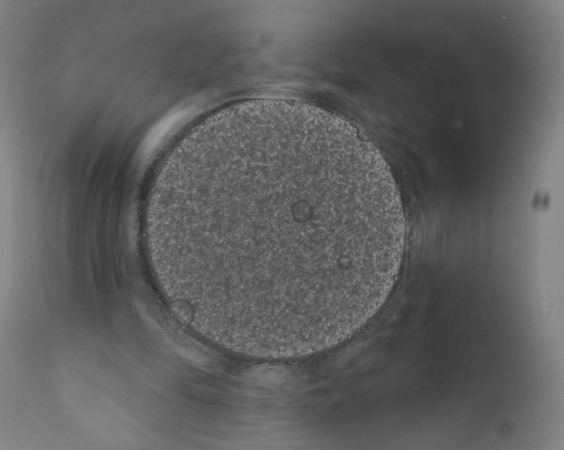 X0000110940294200907311023