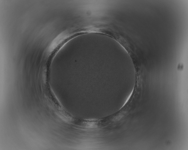 X0000110940295200907311023