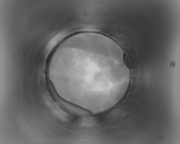 X0000110940296200907311023