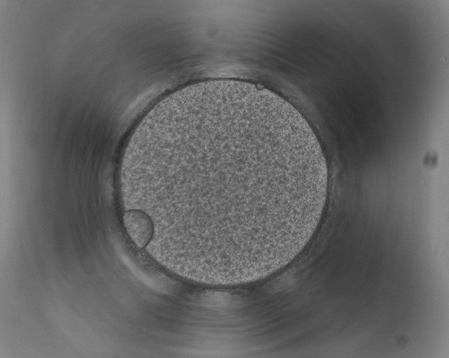 X0000110940298200907311023