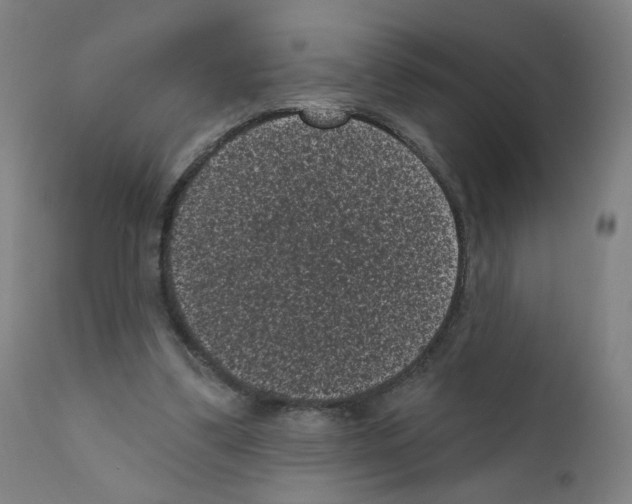 X0000110940299200907311023
