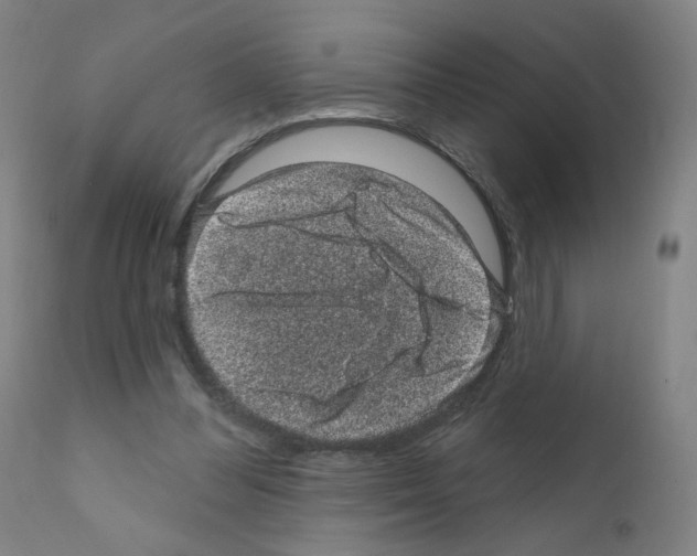X0000110940300200907311023