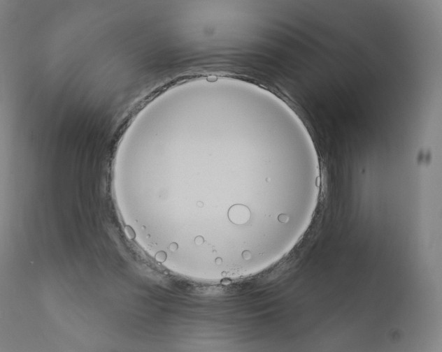 X0000110940301200907311023
