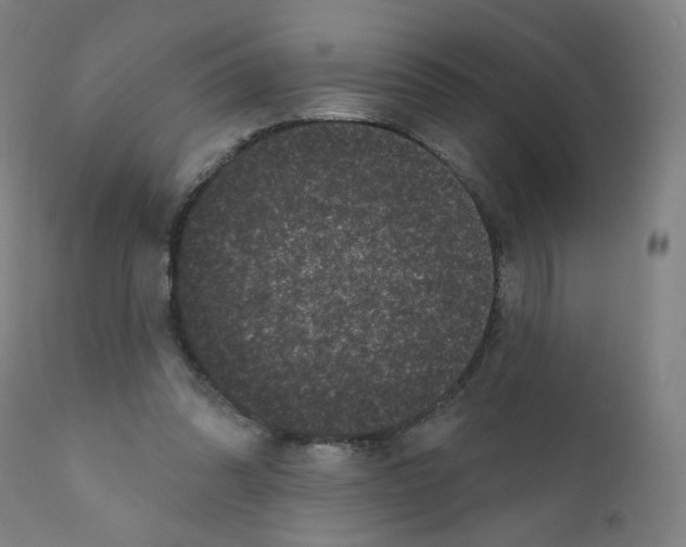 X0000110940302200907311023