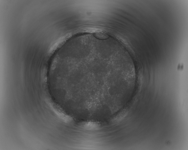 X0000110940303200907311023