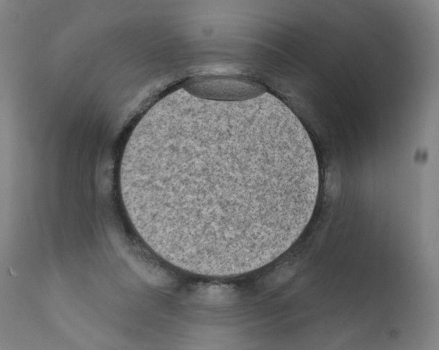 X0000110940304200907311023